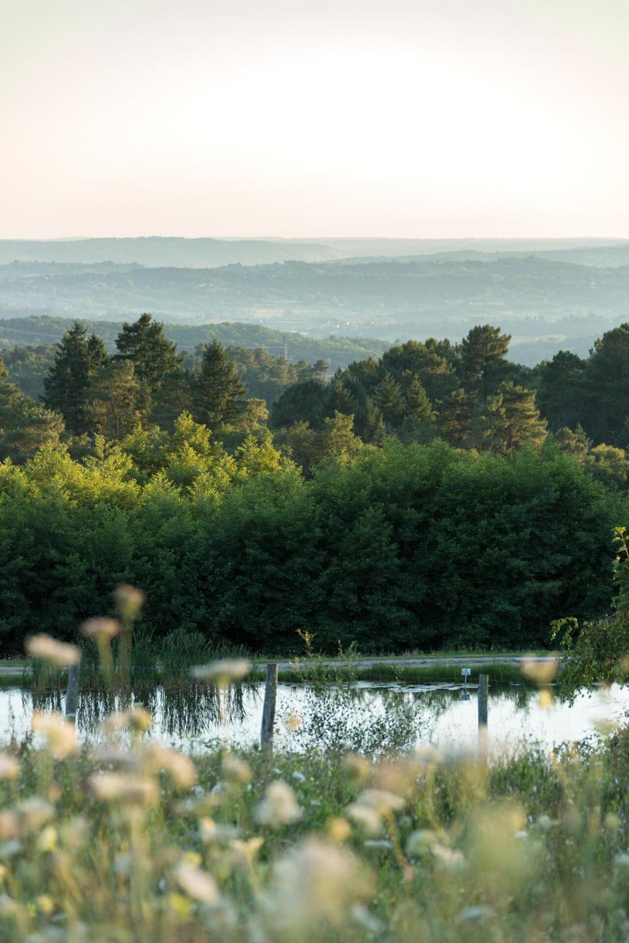 Hotel Les Collines De Sainte-Fereole Zewnętrze zdjęcie